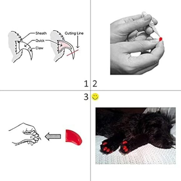 NWT Seafoam Glitter Purrdy Paws Nail Caps for Dogs - Picture 4 of 5